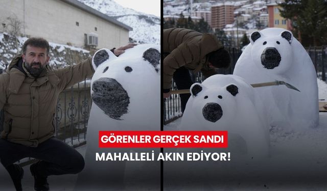 Tır şoföründen sanat eseri: Görenler gerçek sandı, mahalleli akın ediyor!