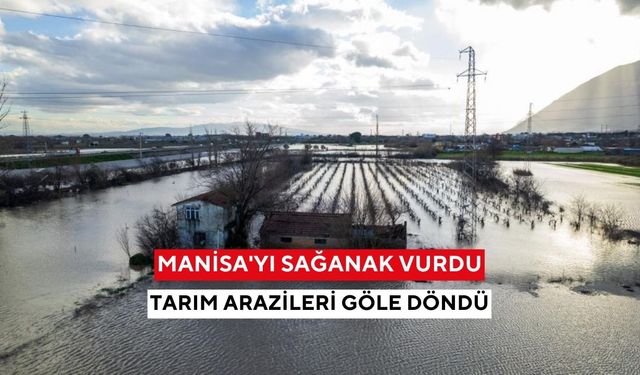 Manisa'yı sağanak vurdu: Tarım arazileri göle döndü