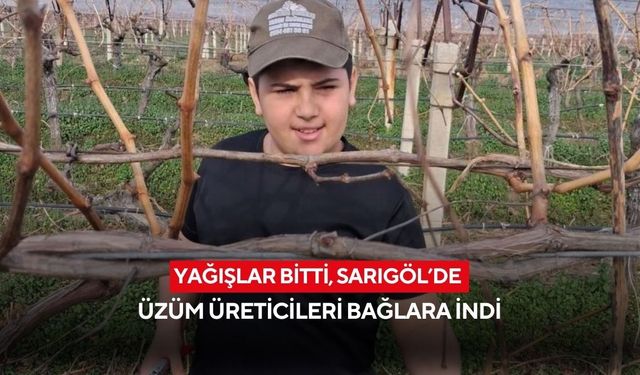 Yağışlar bitti, Sarıgöl’de üzüm üreticileri bağlara indi