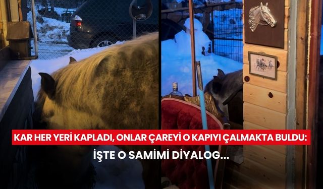 Vahşi doğadan evin eşiğine! "Geçen gün sizi doyurmadım mı?" diyerek böyle karşıladı