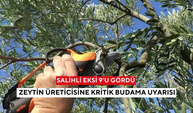 Salihli eksi 9’u gördü: Zeytin üreticisine kritik budama uyarısı