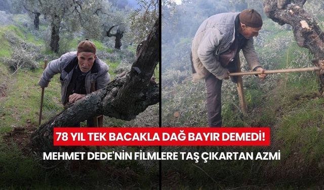 78 yıl tek bacakla dağ bayır demedi! Mehmet Dede'nin filmlere taş çıkartan azmi