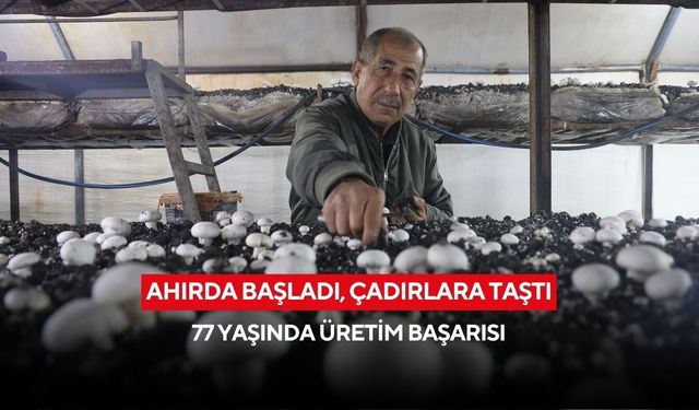 Ahırda başladı, çadırlara taştı: 77 yaşında üretim başarısı