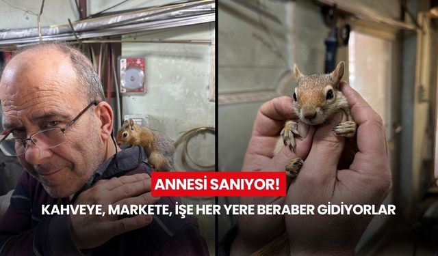 Annesi sanıyor! Kahveye, markete, işe her yere beraber gidiyorlar