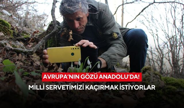 Avrupa’nın gözü Anadolu’da! Milli servetimizi kaçırmak istiyorlar