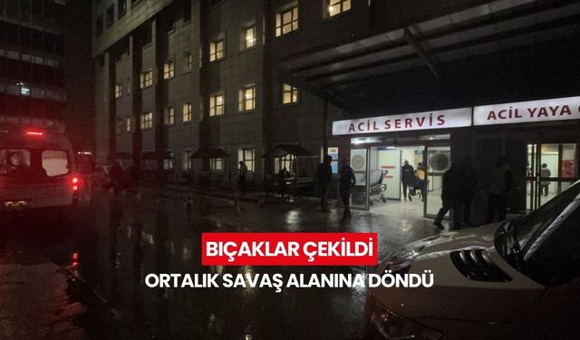 Baba ve oğulları iş yerinde dehşet saçtı