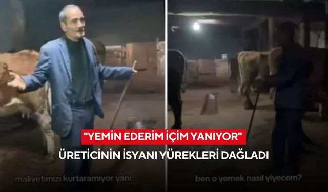 "Ben bugün yemek yemeyeceğim!" Ahırdaki isyan yürekleri dağladı