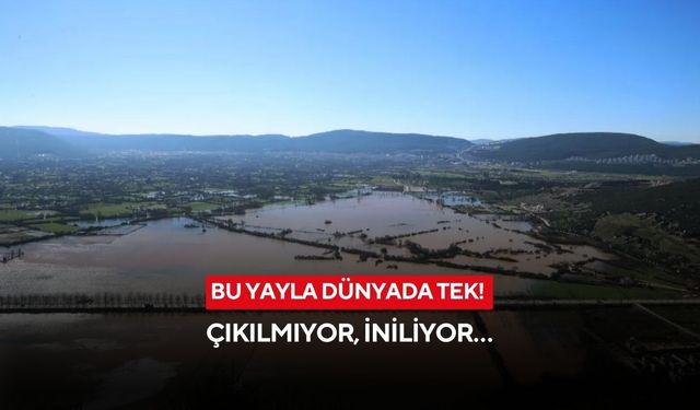 Bu yayla dünyada tek! Çıkılmıyor, iniliyor… Su kuyuları alarm veriyor