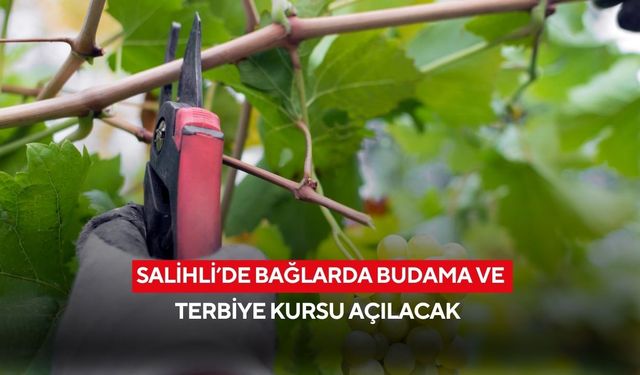 Salihli’de bağlarda budama ve terbiye kursu açılacak