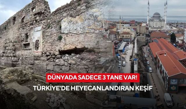 Dünyada sadece 3 tane var! Türkiye'de heyecanlandıran keşif