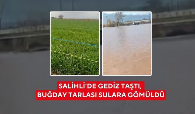 Gediz Nehri taştı, Salihli’de buğday tarlası sular altında kaldı