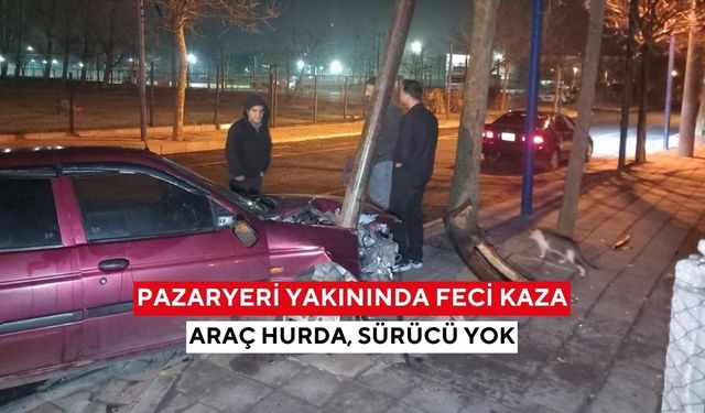 Gece yarısı şok! Direğe çarptı, sürücü sırra kadem bastı...