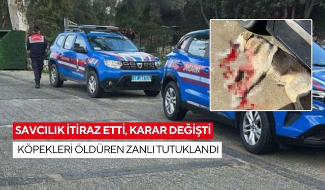 İki köpeği silahla öldürmüştü... Restoran işletmecisi cezaevinde
