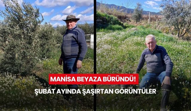 Manisa beyaza büründü! Şubat ayında şaşırtan görüntüler
