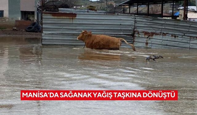 Manisa’da sağanak yağış taşkına dönüştü
