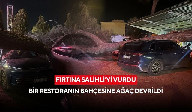 Fırtına Salihli’yi vurdu! Salihli'de bir restoranın bahçesine ağaç devrildi