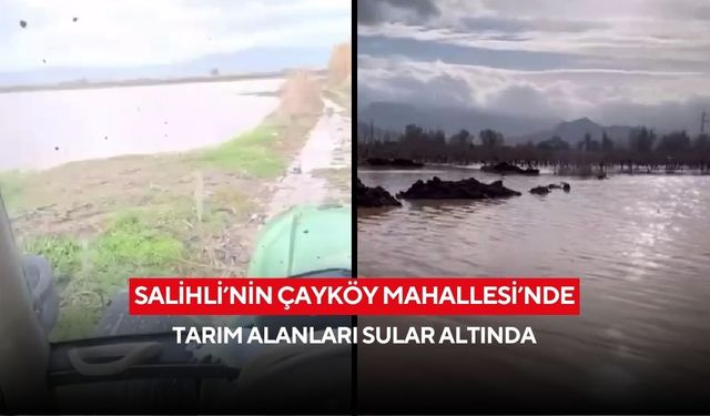 Salihli’nin Çayköy Mahallesi’nde tarım alanları sular altında