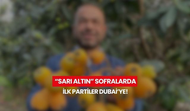 Türkiye’de erken hasat sevinci! “Sarı Altın” ilk partiler Dubai, İstanbul ve Ankara yolcusu...