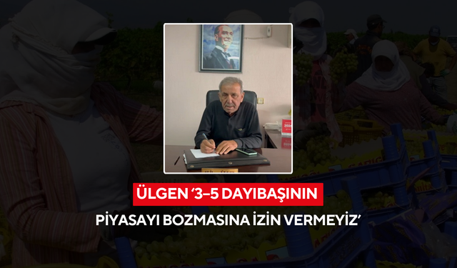 Ülgen ‘3–5 dayıbaşının piyasayı bozmasına izin vermeyiz’