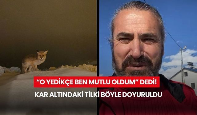 “O yedikçe ben mutlu oldum” dedi! Kar altındaki tilki böyle doyuruldu