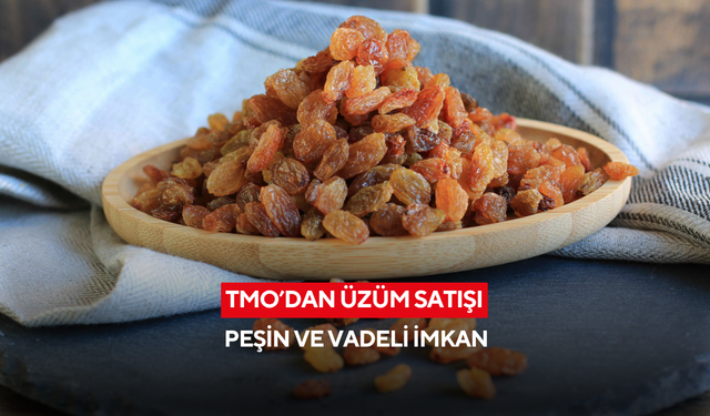 TMO’dan 120 gün vadeli üzüm satışı