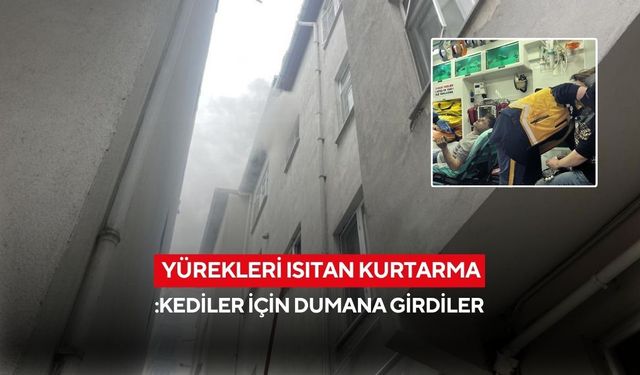 Alevlerin arasına daldılar... Kedileri için canlarını hiçe saydılar