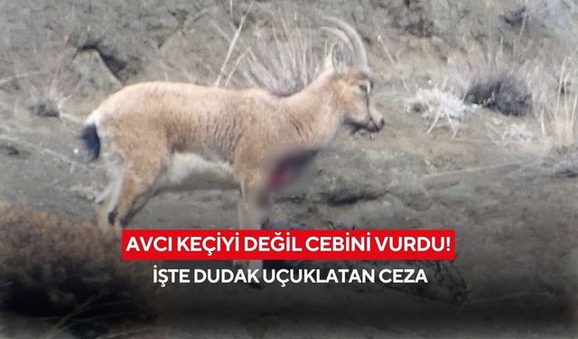 Avcı keçiyi değil cebini vurdu! İşte dudak uçuklatan ceza