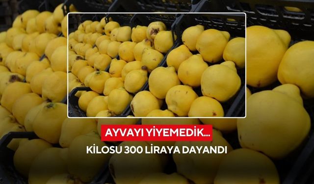 Ayvayı yiyemedik...Kilosu 300 liraya dayandı