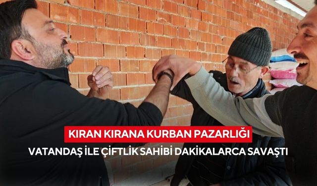Bayrama aylar var ama pazarlık şimdiden kızıştı... Kurban fiyatları için nefes kesen mücadele...