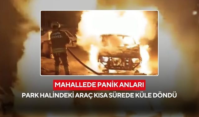 Bir anda alev aldı... Park halindeki otomobil alev topuna döndü