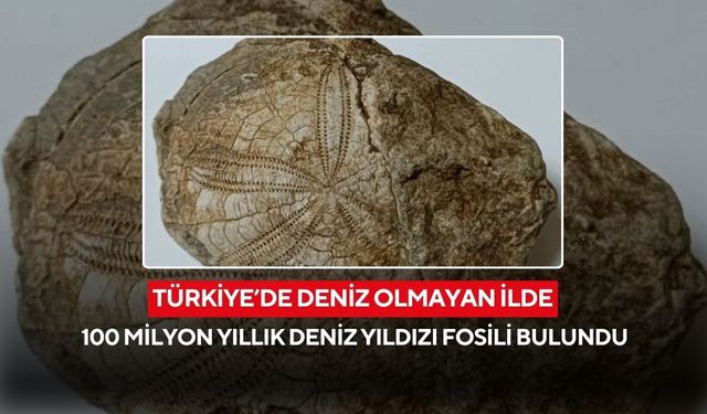 Ege bölgesinde deniz olmayan ilde 100 milyon yıllık deniz yıldızı fosili bulundu
