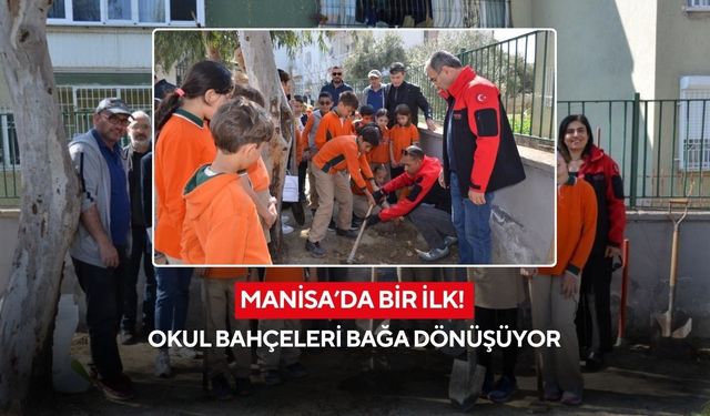 Manisa’da bir ilk! Okul bahçeleri bağa dönüşüyor