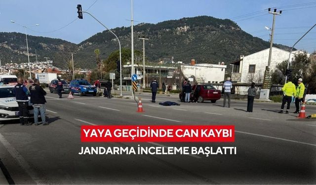 Karşıdan karşıya geçen yaya hayatını kaybetti | Jandarma inceleme başlattı...