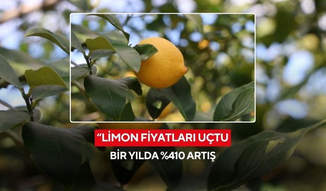 Limon fiyatları uçtu: Bir yılda %410 artış