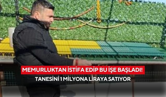 Memurluğu bıraktı, hayalinin peşinden gitti: Tanesini tam 1 milyon liraya satıyor