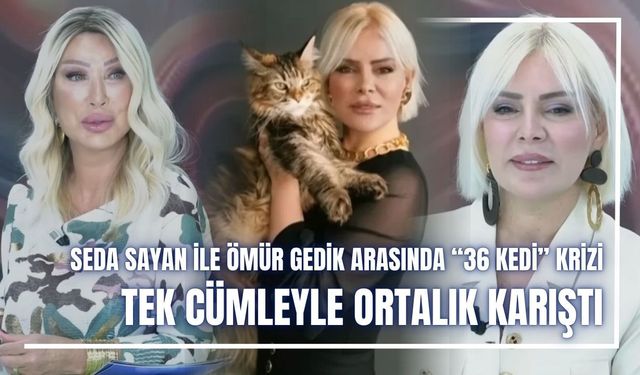 Seda Sayan ile Ömür Gedik arasında “36 kedi” krizi: Tek cümleyle ortalık karıştı