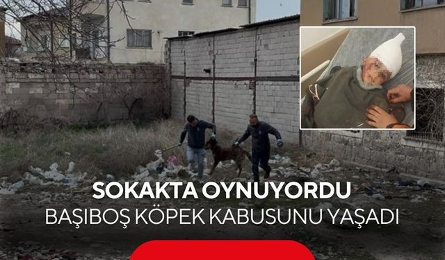 Sokakta oyun oynuyordu... Biranda hayatı karardı! 3 yaşındaki çocuk 12 günde, 3 ameliyat geçirdi...