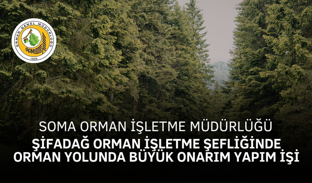 SOMA ORMAN İŞLETME MÜDÜRLÜĞÜ, ŞİFADAĞ ORMAN İŞLETME ŞEFLİĞİNDE ORMAN YOLUNDA BÜYÜK ONARIM YAPIM İŞİ