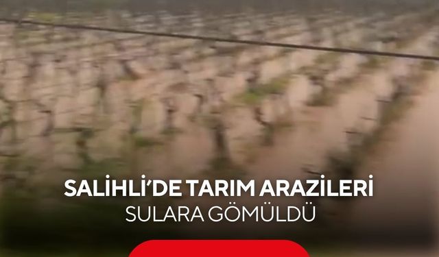 Salihli’de tarım arazileri sulara gömüldü