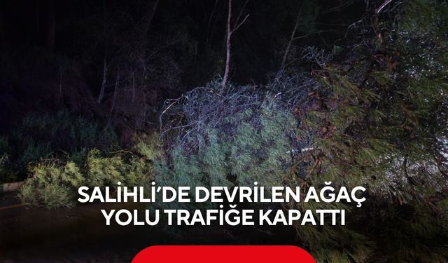 Salihli’de devrilen ağaç yolu trafiğe kapattı