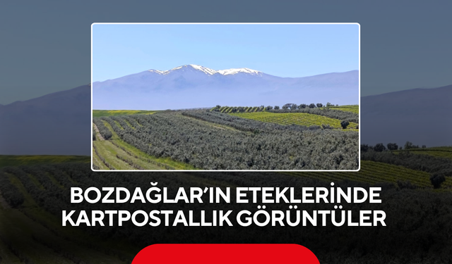Salihli’de eğitim sendikalarından ortak tepki ‘Okullar güvensiz bırakılamaz’