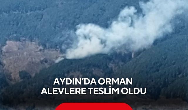 Aydın’da orman alevlere teslim oldu