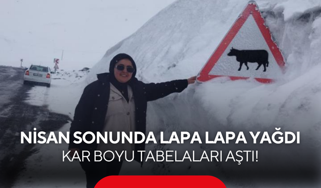 Bahar geldi derken kış geri döndü: Kar boyu tabelaları aştı