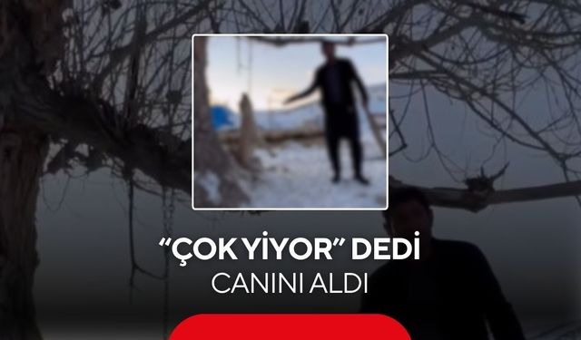 İnsanlık dışı görüntüler “Yemek yetmiyor” diyerek köpeğini astı...