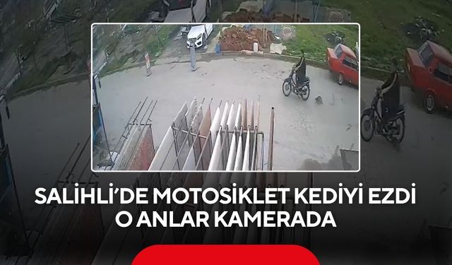 Salihli’de vicdansızlık: Kediyi ezen motosiklet sürücüsü kaçtı, o anlar kamerada