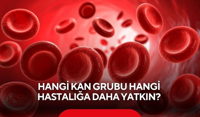 Hangi kan grubu hangi hastalığa daha yatkın? Bilimsel çalışmalar ortaya koydu
