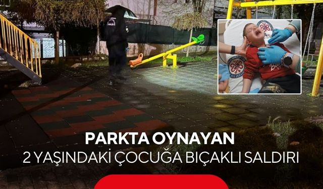 Parkta oynayan 2 yaşındaki çocuğa bıçaklı saldırı | Kaçan şüpheli evinde yakalandı