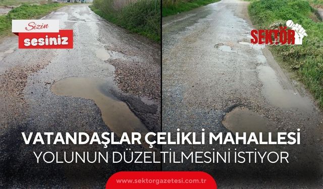 Vatandaşlar Çelikli Mahallesi yolunun düzeltilmesini istiyor