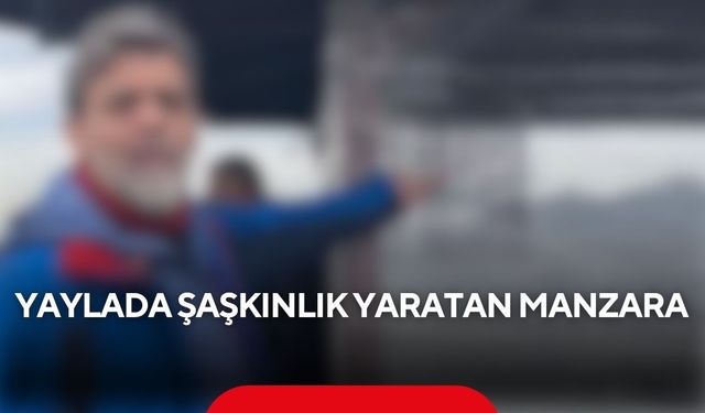 Yaylaya giden grup gözlerine inanamadı... Kamelyada her detay düşünülmüş