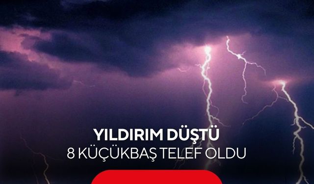 Yıldırım düşmesi sonucu 8 küçükbaş hayvan telef oldu